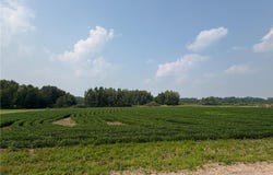 304xx Jodrell Street NE, Cambridge, MN 55008