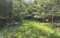 0 Old Holy Water Road, Tracy City, TN 37387