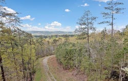 287 Lookout Valley Trail, Talking Rock, GA 30175