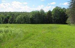 Roland Road, Shunk, PA 17768