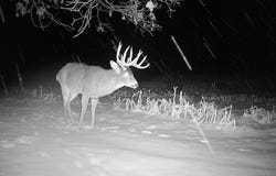 Simons Rd, Alma, WI 54610