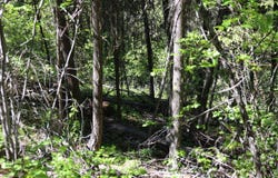 NHN Patrick Creek Road, Kalispell, MT 59901