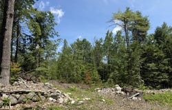 Fosterville Road, Bridgton, ME 04009