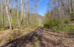 Martin Creek Rd, NAOMA, WV 25140