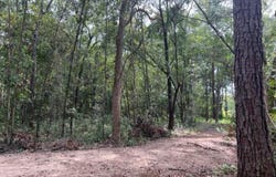 98 Cox Road, Monticello, FL 32344