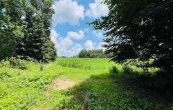 81 Shearer Cemetery Ln, Columbia, KY 42728