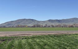 Ferrel, Weiser, ID 83672
