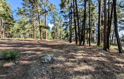 2422 Rainbow Lake Drive, Lakeside, AZ 85929