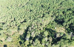226 Pine Burr RD, LUMBERTON, MS 39455