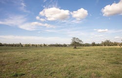 TBD Trenckmann Road, Sealy, TX 77474