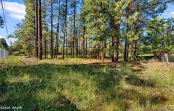 2877 Turkey Trail, Overgaard, AZ 85933