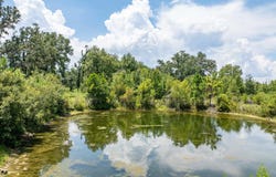 17362 90th Terrace, Live Oak, FL 32060