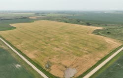 Land Auction Velva, ND, Velva, ND 58790