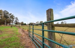 137 Nicole Road, Boaz, AL 35956