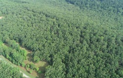 000 East Parker Road, Plumerville, AR 72127