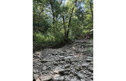 2184 Shadrick Ferry Road, Frankfort, KY 40601