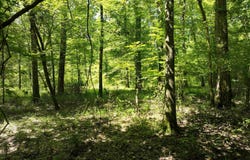 Wilmar, AR 71645