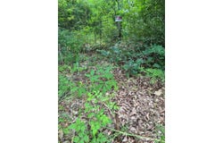 3010 Overbrook Terrace, Charlotte, NC 28214