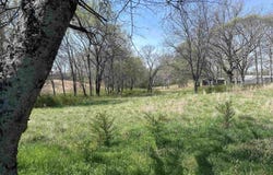 3.14 acres Hwy 101, Rogersville, AL 35652