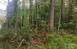 Wildwood Lane, Troy, NC 27371