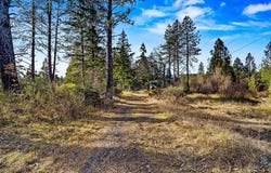 0 W O'brien Street, O'Brien, OR 97534