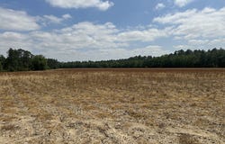 Rupp Road, Ochlocknee, GA 31773