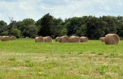 6085 W State Highway 154, Yantis, TX 75497