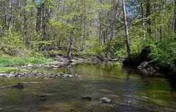 15020 Steelhead Run, Chardon, OH 44024