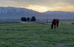 Lot A Jensen Rd, McCammon, ID 83250