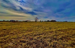 2619 Freedom Court, Tolar, TX 76476