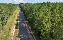 2 State Road 3205, Oberlin, LA 71463