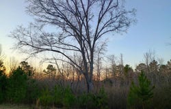 COMERDALE ROAD lot: 00, SYLACAUGA, AL 35150