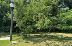 2150 NW 50TH WAY, GAINESVILLE, FL 32605