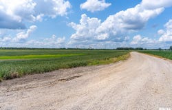 Tract 2 Highway 146, McClure, IL 62957