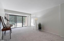 2065 ROYAL FERN CT #38/12B, RESTON, VA 20191