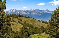 590 Middle Skunk Creek, Bozeman, MT 59715