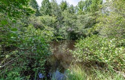 Lot 10 Rocking Chair Ridge, Mineral Bluff, GA 30559