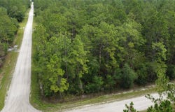 4694 CLOVE AVENUE, BUNNELL, FL 32110