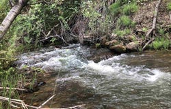 County Road 710, Paonia, CO 81428