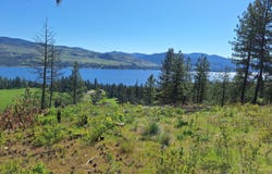 TBD INCHELIUM HWY, KETTLE FALLS, WA 99141