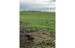 0 Union Grove Road, Lewisburg, KY 42256