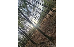 5810 Colts Crossing Ln, Milton, FL 32570