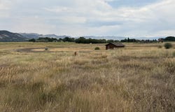 1200 Flag Creek Drive, Meeker, CO 81641