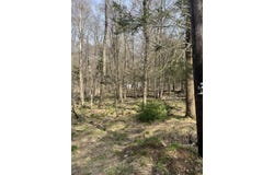 Lot 719 Elk Run Road, Pocono Lake, PA 18347