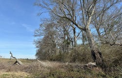 0 Pump Branch Road, Wiggins, MS 39577