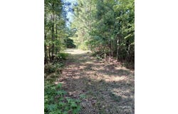 776 North Springs Road, Blackstock, SC 29014