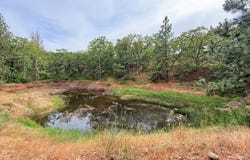 600 Centerville HWY, Lyle, WA 98635
