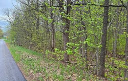 Del Mason Road, Bellaire, MI 49615