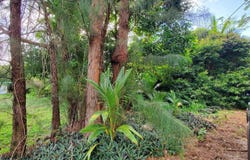 Lot 1 Tract 3021-A, Hagat, GU 96915