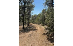 of Hwy 217, Tijeras, NM 87059